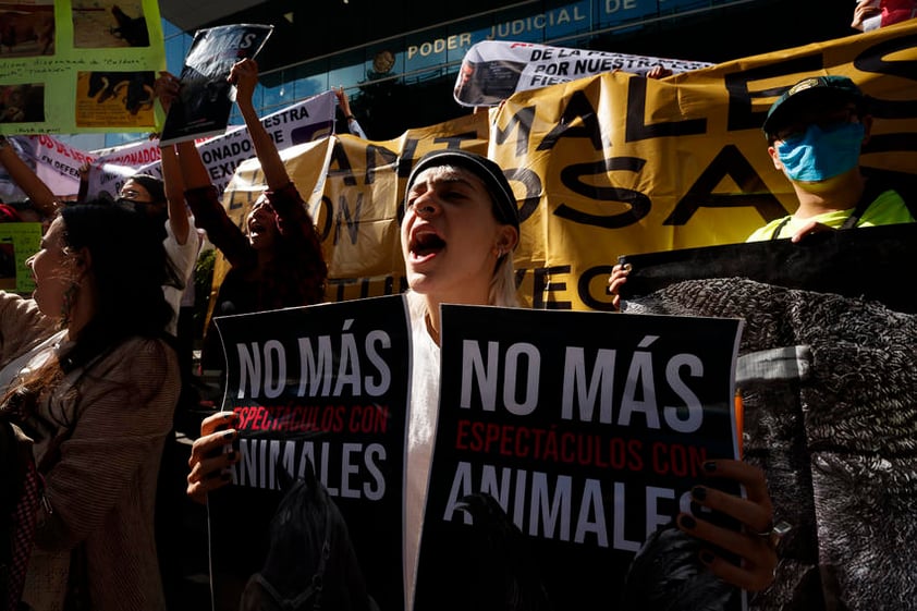 Activistas en contra de la tauromaquia se manifiestan hoy frente a una sede del Poder Judicial de la Federación en Ciudad de México