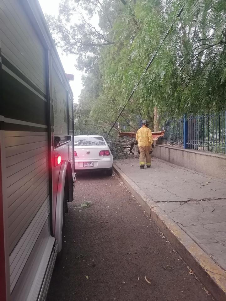 Daños causados por los fuertes vientos en Durango