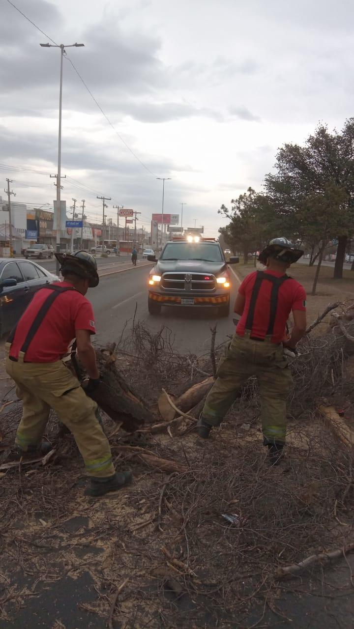 Daños causados por los fuertes vientos en Durango