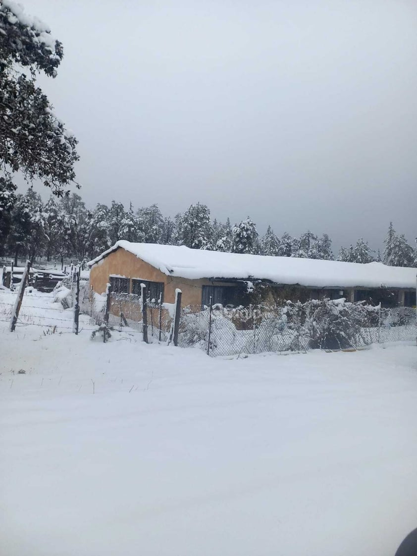 Este miércoles cerca de las 14:00 horas se reportó la caída de nieve en La Rosilla, localidad de Guanaceví, Durango.