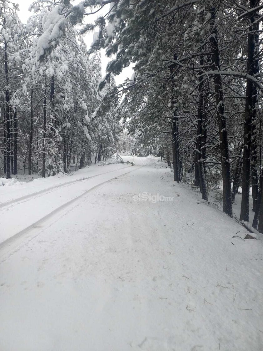 Este miércoles cerca de las 14:00 horas se reportó la caída de nieve en La Rosilla, localidad de Guanaceví, Durango.