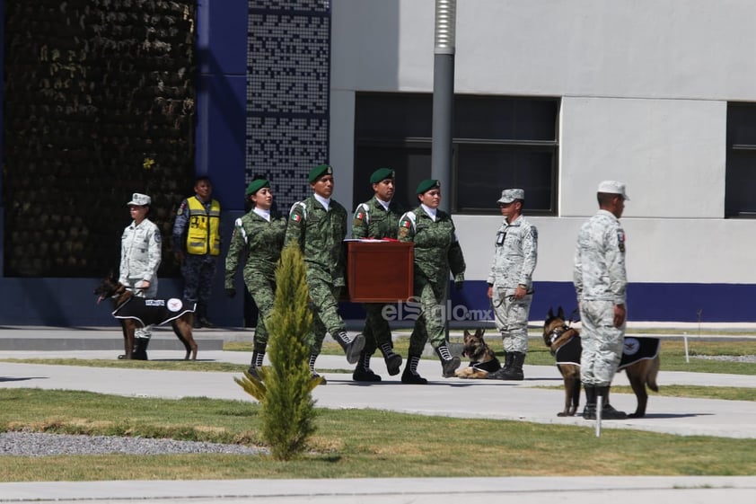 EUM20230216NAC06.JPG 
CIUDAD DE MÉXICO. Tribute/Homenaje-Perro rescatista-. 16 de febrero de 2023. Aspectos de la llegada de los restos del perro rescatista 'Proteo' del Ejército Nacional, binomio canino que murió en Turquía durante el cumplimiento de su deber. Foto: Agencia EL UNIVERSAL/Carlos Mejía/EELG