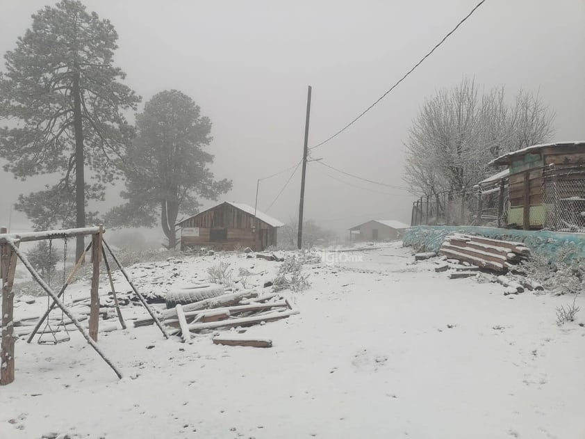 Sierra de Durango se pinta de blanco