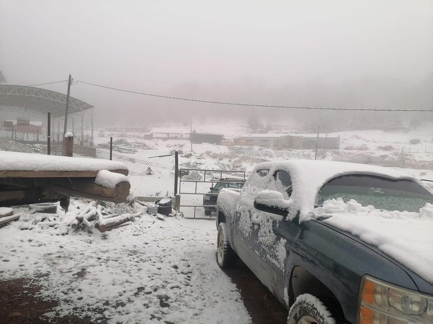 Sierra de Durango se pinta de blanco