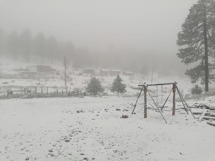 Sierra de Durango se pinta de blanco