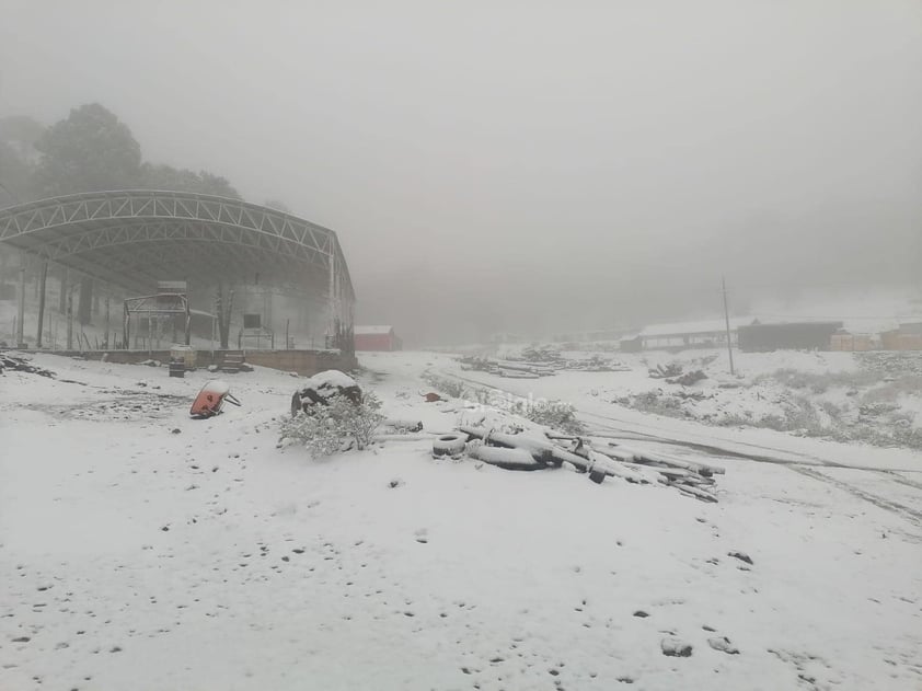 Sierra de Durango se pinta de blanco