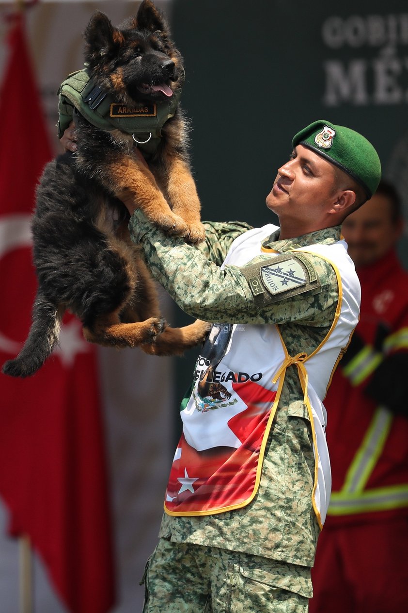 La Secretaría de la Defensa Nacional (Sedena) dio a conocer el nombre del cachorro que se integra al grupo de binomios caninos mexicanos, luego de que el Gobierno de Turquía lo donara en solidaridad y empatía, tras el fallecimiento del perrito rescatista Proteo.