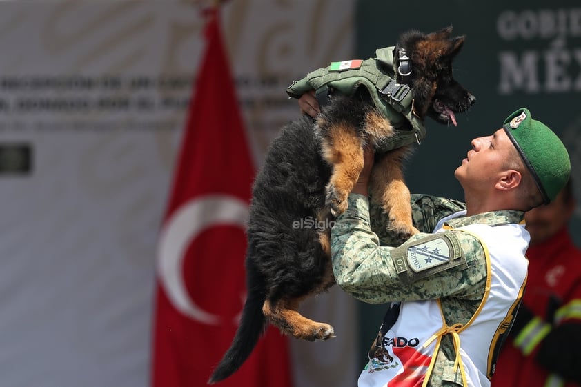 La Secretaría de la Defensa Nacional (Sedena) dio a conocer el nombre del cachorro que se integra al grupo de binomios caninos mexicanos, luego de que el Gobierno de Turquía lo donara en solidaridad y empatía, tras el fallecimiento del perrito rescatista Proteo.