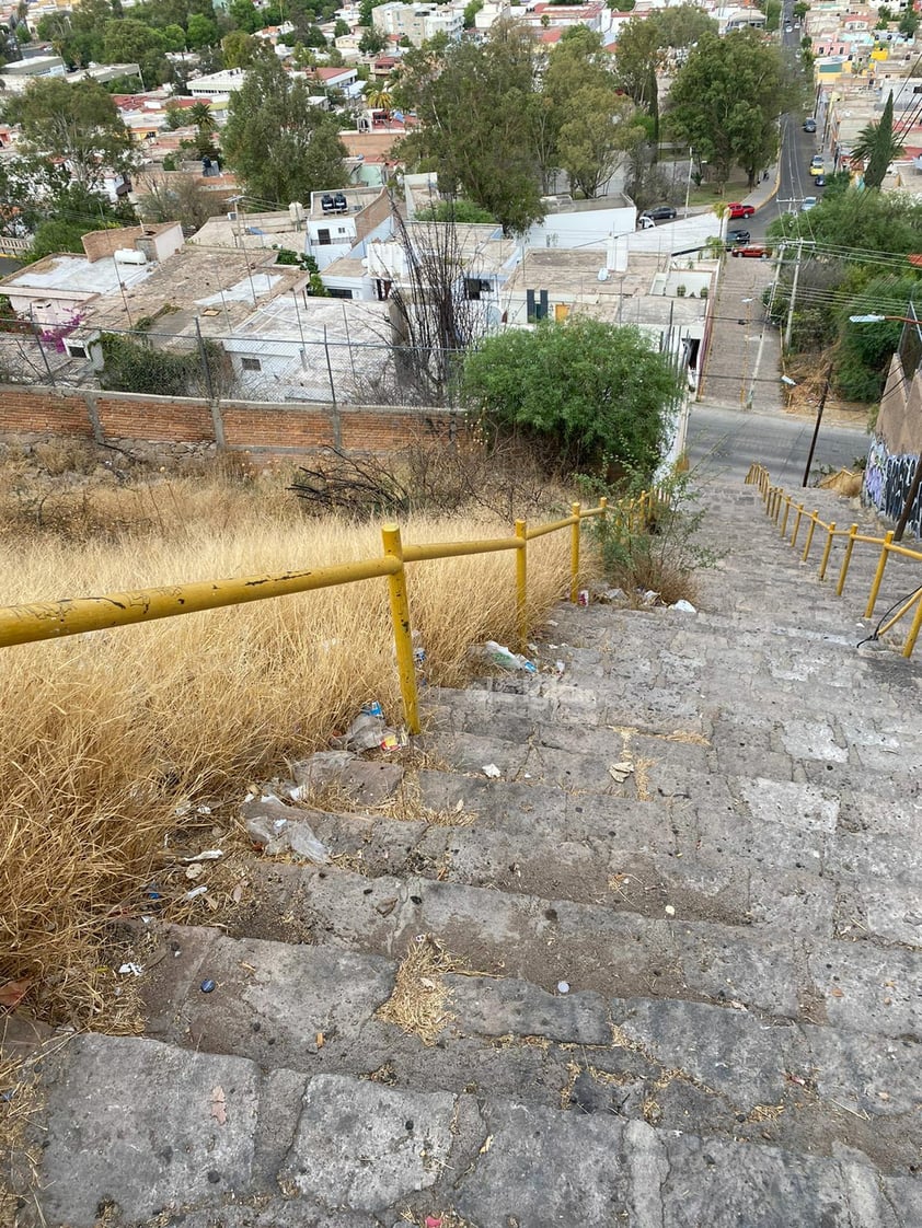 A través de una denuncia ciudadana que llegó a este medio, se dio a conocer el estado de abandono y suciedad en el que se encuentra la zona del Mirador y las escaleras ubicadas en el Cerro de Los Remedios, en Durango capital.