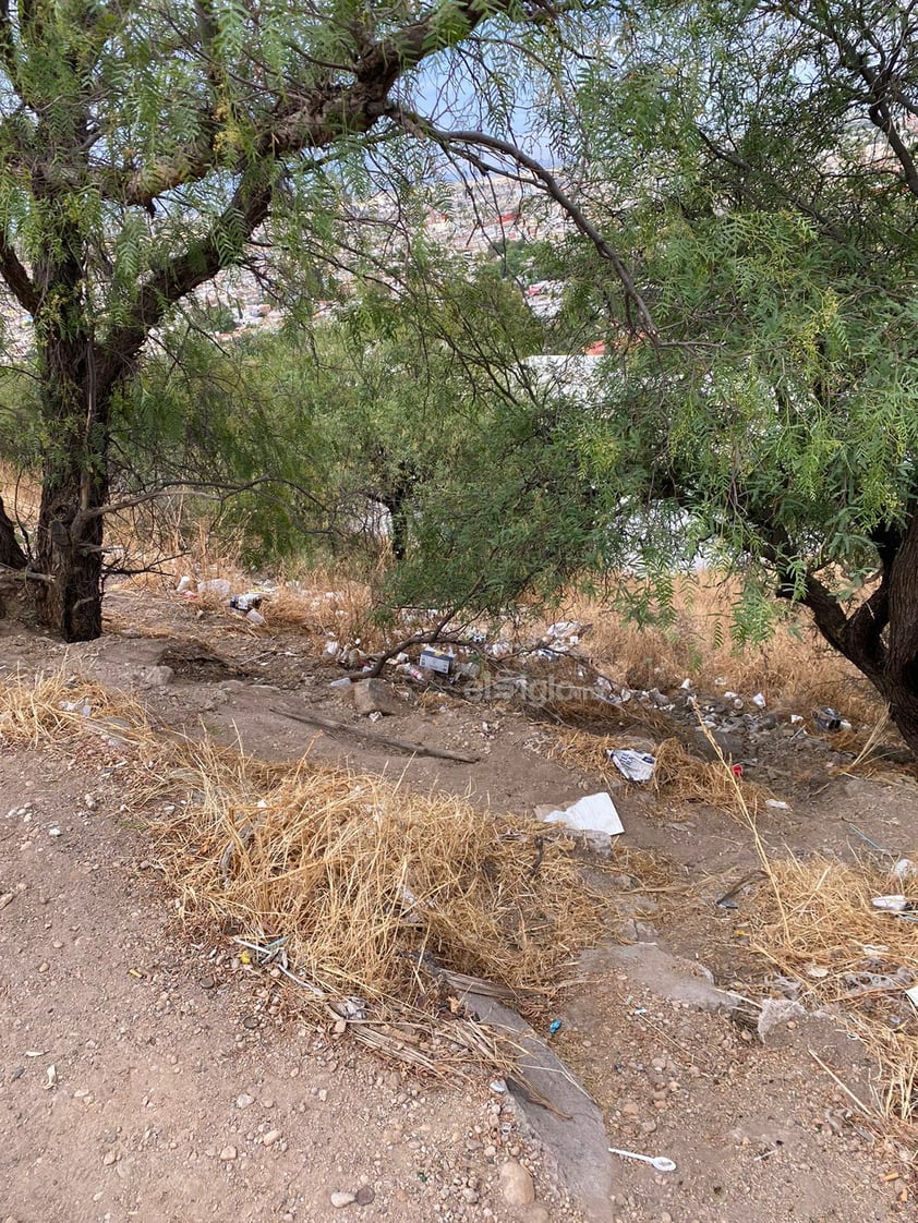 A través de una denuncia ciudadana que llegó a este medio, se dio a conocer el estado de abandono y suciedad en el que se encuentra la zona del Mirador y las escaleras ubicadas en el Cerro de Los Remedios, en Durango capital.