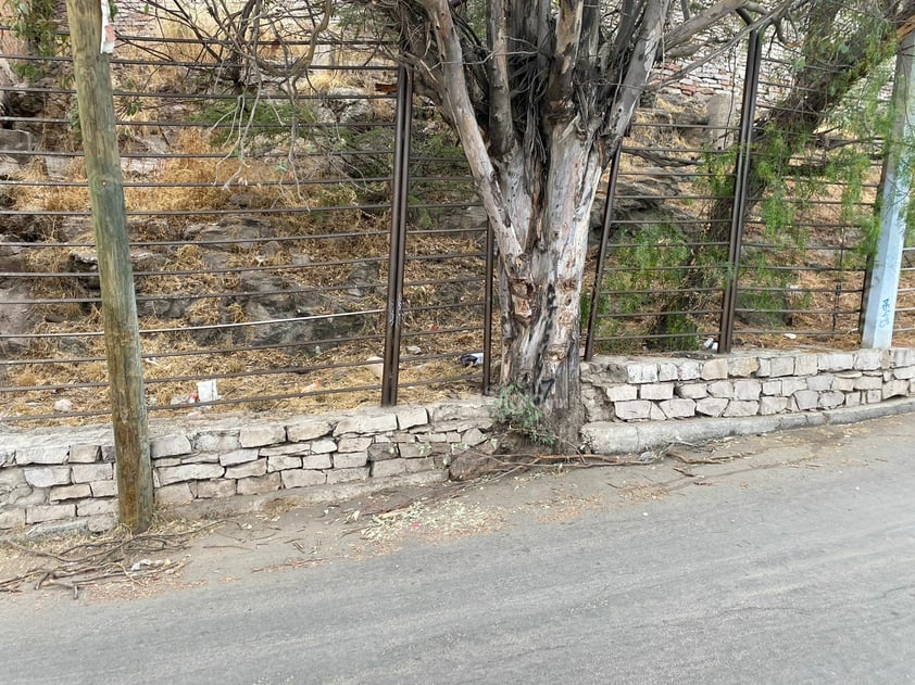 A través de una denuncia ciudadana que llegó a este medio, se dio a conocer el estado de abandono y suciedad en el que se encuentra la zona del Mirador y las escaleras ubicadas en el Cerro de Los Remedios, en Durango capital.