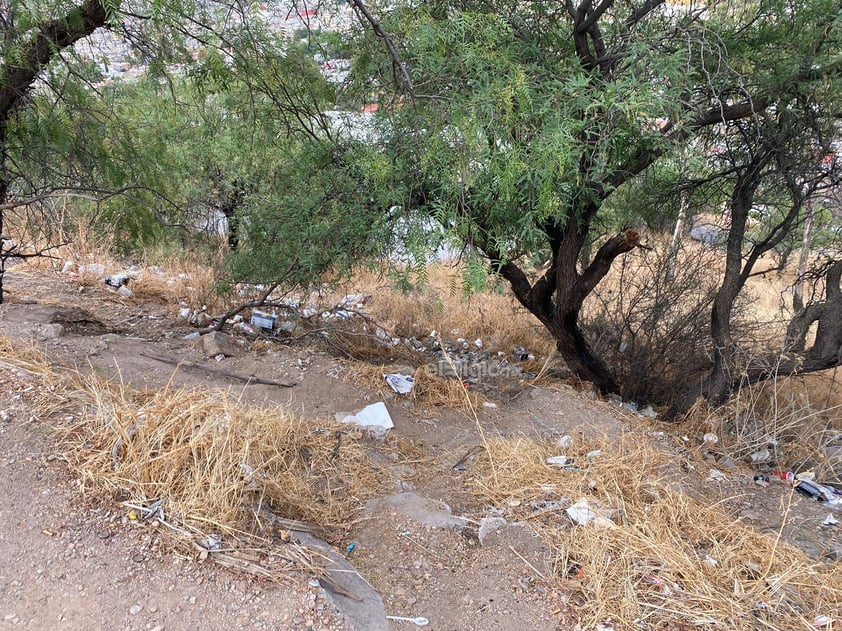 A través de una denuncia ciudadana que llegó a este medio, se dio a conocer el estado de abandono y suciedad en el que se encuentra la zona del Mirador y las escaleras ubicadas en el Cerro de Los Remedios, en Durango capital.