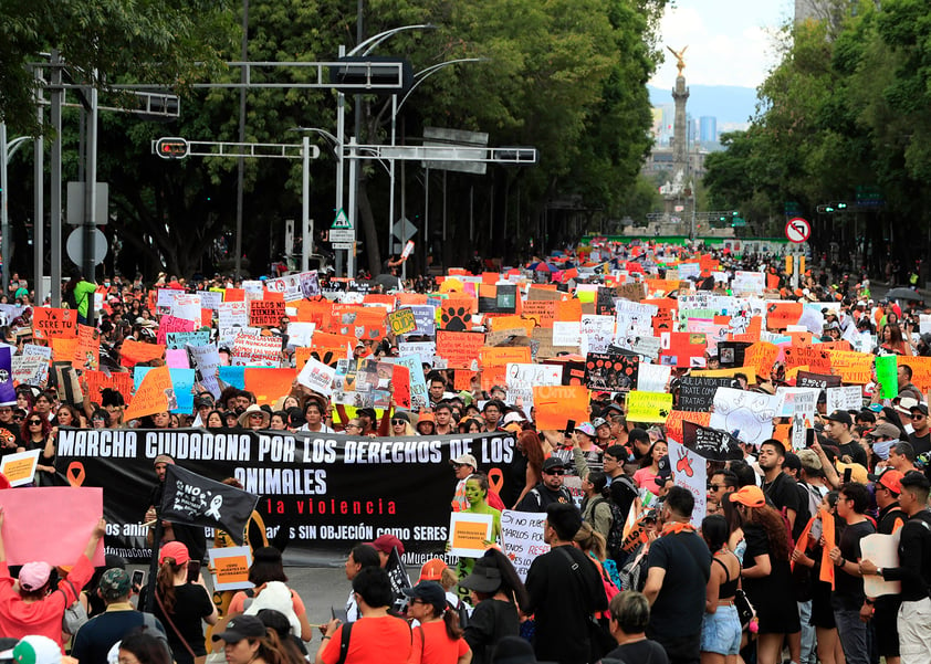 Miles de personas se manifestaron este domingo en calles de la Ciudad de México y otras ciudades para exigir un alto a la violencia contra los animales ante los cada vez más frecuentes casos de maltrato y crueldad que se han reportado en el país, además de penas más severas contra quien cometa estos delitos.