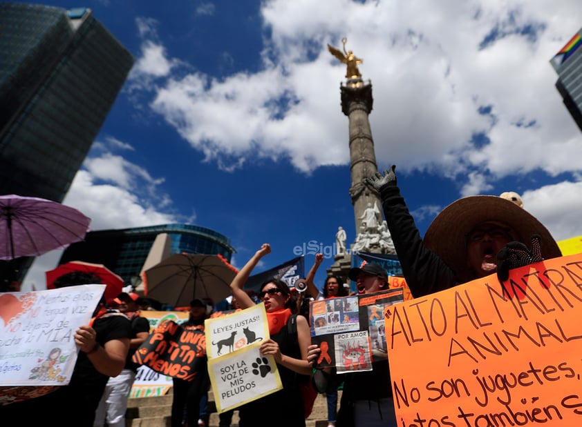 Miles de personas se manifestaron este domingo en calles de la Ciudad de México y otras ciudades para exigir un alto a la violencia contra los animales ante los cada vez más frecuentes casos de maltrato y crueldad que se han reportado en el país, además de penas más severas contra quien cometa estos delitos.