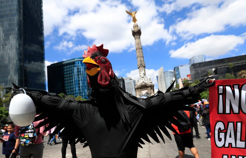 Miles de personas se manifestaron este domingo en calles de la Ciudad de México y otras ciudades para exigir un alto a la violencia contra los animales ante los cada vez más frecuentes casos de maltrato y crueldad que se han reportado en el país, además de penas más severas contra quien cometa estos delitos.