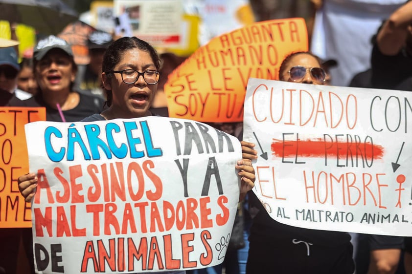 Miles de personas se manifestaron este domingo en calles de la Ciudad de México y otras ciudades para exigir un alto a la violencia contra los animales ante los cada vez más frecuentes casos de maltrato y crueldad que se han reportado en el país, además de penas más severas contra quien cometa estos delitos.