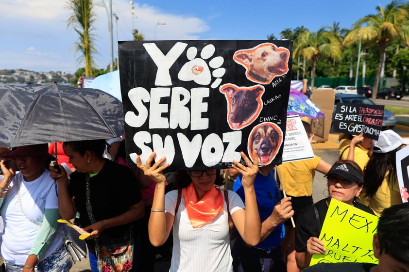 Miles de personas se manifestaron este domingo en calles de la Ciudad de México y otras ciudades para exigir un alto a la violencia contra los animales ante los cada vez más frecuentes casos de maltrato y crueldad que se han reportado en el país, además de penas más severas contra quien cometa estos delitos.