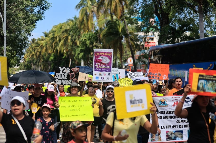 Miles de personas se manifestaron este domingo en calles de la Ciudad de México y otras ciudades para exigir un alto a la violencia contra los animales ante los cada vez más frecuentes casos de maltrato y crueldad que se han reportado en el país, además de penas más severas contra quien cometa estos delitos.