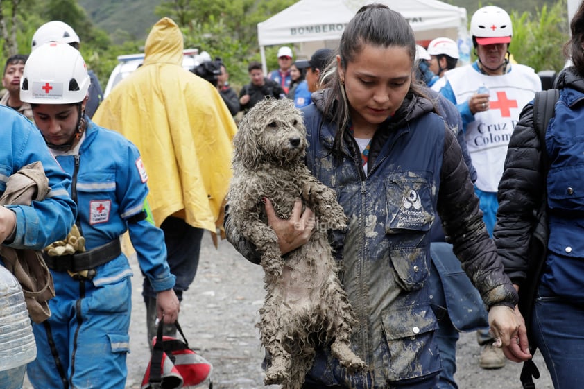 La cifra de muertos por una avalancha de barro y agua ocurrida en la localidad de Quetame, en el departamento colombiano de Cundinamarca (centro), ascendió a 14, además de 6 heridos y varios desaparecidos, informó este martes el gobernador de esa región, Nicolás García.