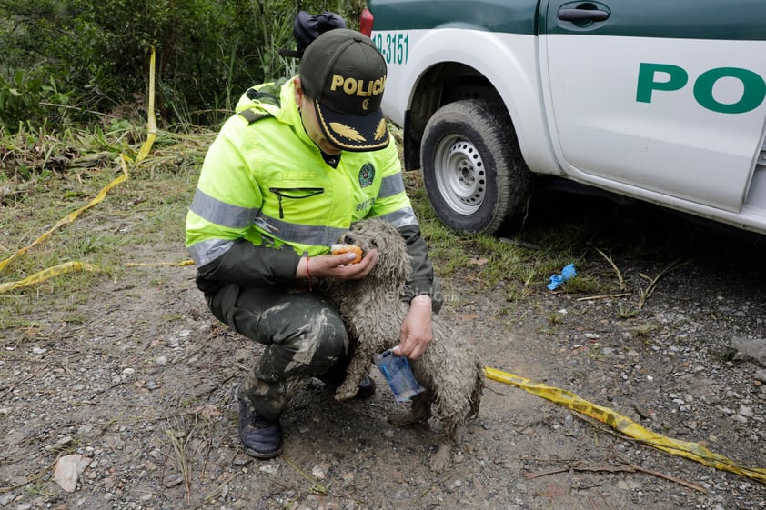 La cifra de muertos por una avalancha de barro y agua ocurrida en la localidad de Quetame, en el departamento colombiano de Cundinamarca (centro), ascendió a 14, además de 6 heridos y varios desaparecidos, informó este martes el gobernador de esa región, Nicolás García.