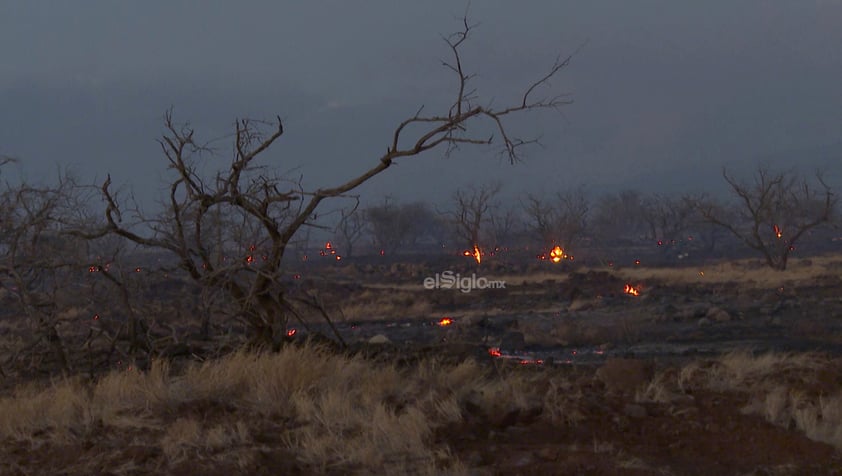 Miles de personas están siendo evacuadas de la isla hawaiana de Maui ante los incendios forestales que la están devastando, mientras los equipos de emergencia siguen trabajando en la extinción de los fuegos y en la búsqueda de víctimas, tras un primer recuento de 36 fallecidos.