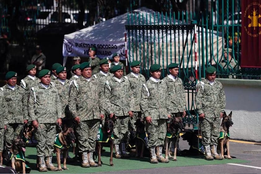 La Secretaría de la Defensa Nacional (Sedena), develó la estatua del elemento canino Proteo, que murió el 10 de febrero de este año en Turquía, debido al clima extremadamente frío en aquella nación, durante labores de búsqueda tras los sismos que se registraron en el país.