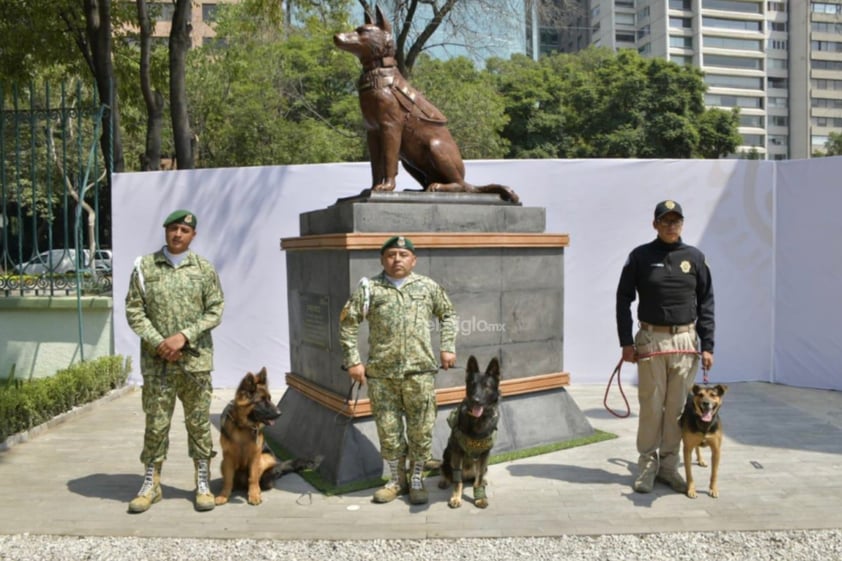 La Secretaría de la Defensa Nacional (Sedena), develó la estatua del elemento canino Proteo, que murió el 10 de febrero de este año en Turquía, debido al clima extremadamente frío en aquella nación, durante labores de búsqueda tras los sismos que se registraron en el país.