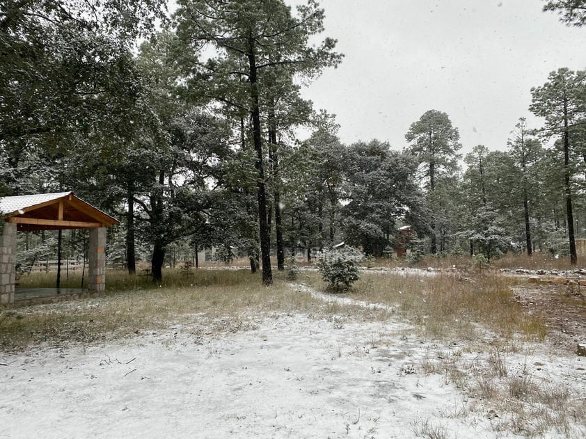 Se registró la caída de nieve en comunidades de nueve municipios de Durango, durante este miércoles, de acuerdo al reporte de la Coordinación Estatal de Protección Civil (CEPC).