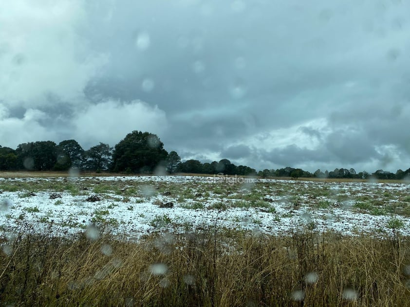 Se registró la caída de nieve en comunidades de nueve municipios de Durango, durante este miércoles, de acuerdo al reporte de la Coordinación Estatal de Protección Civil (CEPC).