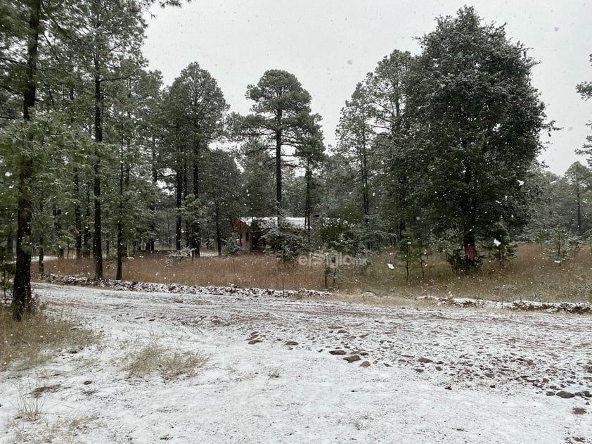 Se registró la caída de nieve en comunidades de nueve municipios de Durango, durante este miércoles, de acuerdo al reporte de la Coordinación Estatal de Protección Civil (CEPC).