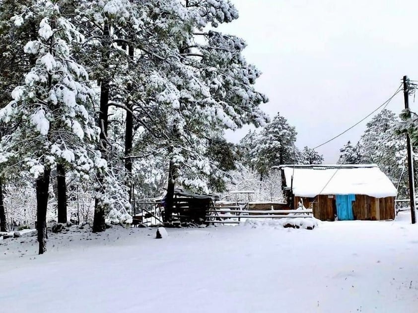 Se registró la caída de nieve en comunidades de nueve municipios de Durango, durante este miércoles, de acuerdo al reporte de la Coordinación Estatal de Protección Civil (CEPC).