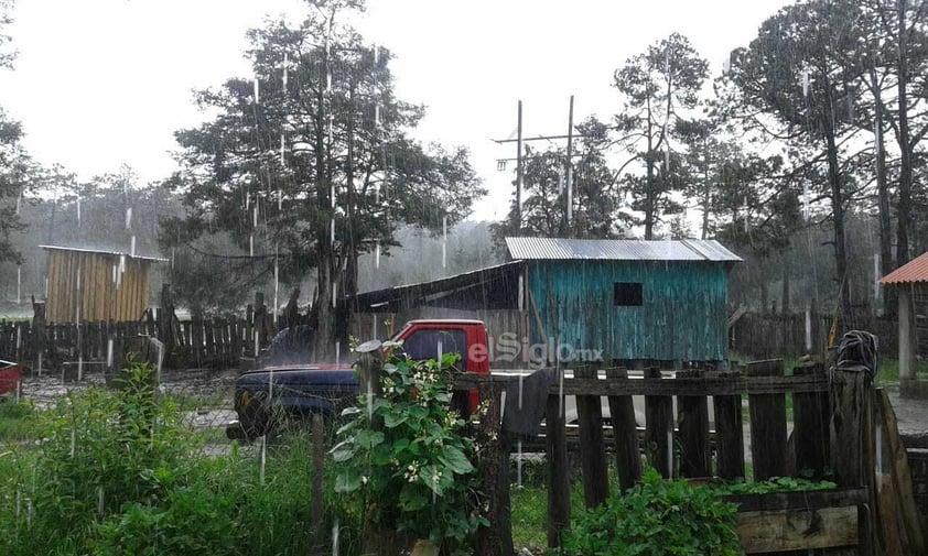 Se registró la caída de nieve en comunidades de nueve municipios de Durango, durante este miércoles, de acuerdo al reporte de la Coordinación Estatal de Protección Civil (CEPC).