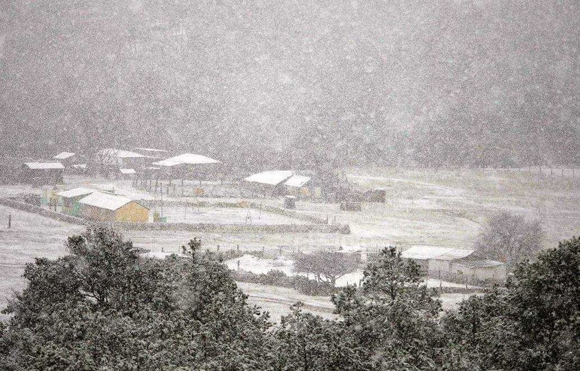 Se registró la caída de nieve en comunidades de nueve municipios de Durango, durante este miércoles, de acuerdo al reporte de la Coordinación Estatal de Protección Civil (CEPC).