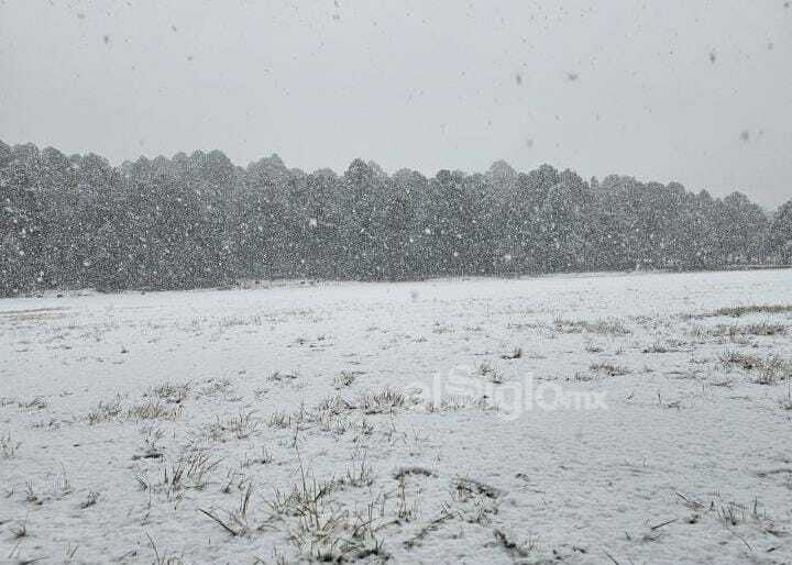 Se registró la caída de nieve en comunidades de nueve municipios de Durango, durante este miércoles, de acuerdo al reporte de la Coordinación Estatal de Protección Civil (CEPC).