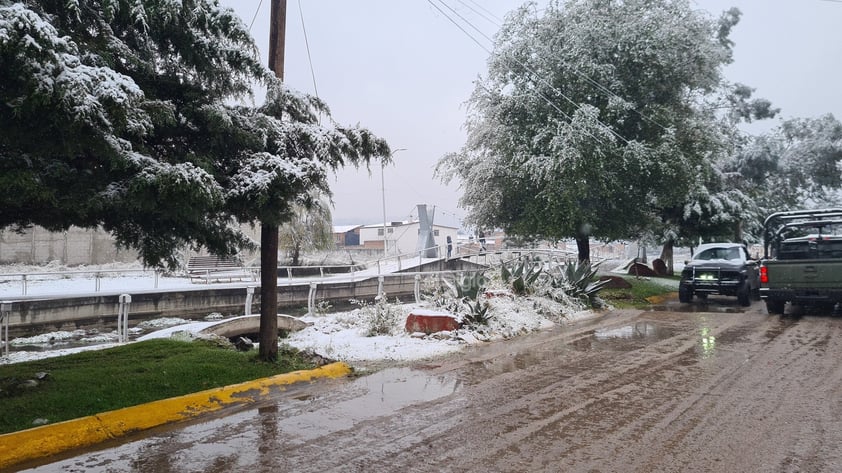 Se registró la caída de nieve en comunidades de nueve municipios de Durango, durante este miércoles, de acuerdo al reporte de la Coordinación Estatal de Protección Civil (CEPC).