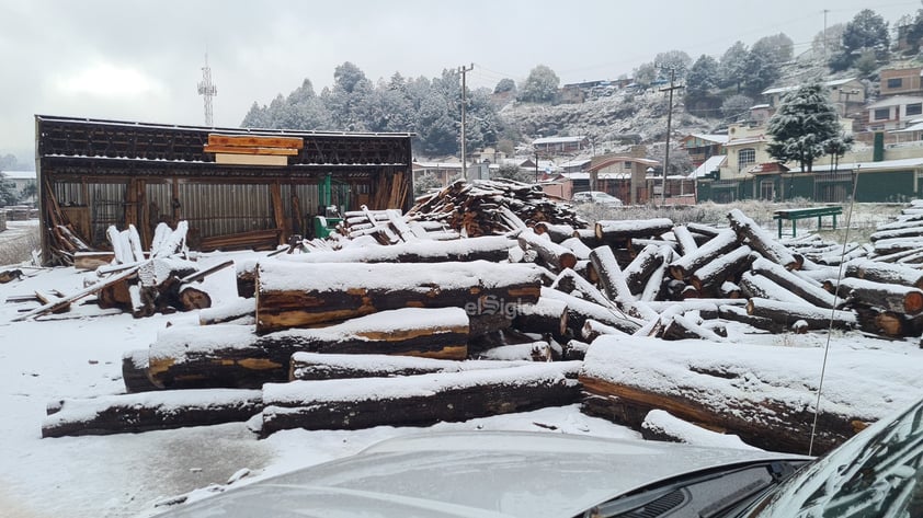 Se registró la caída de nieve en comunidades de nueve municipios de Durango, durante este miércoles, de acuerdo al reporte de la Coordinación Estatal de Protección Civil (CEPC).