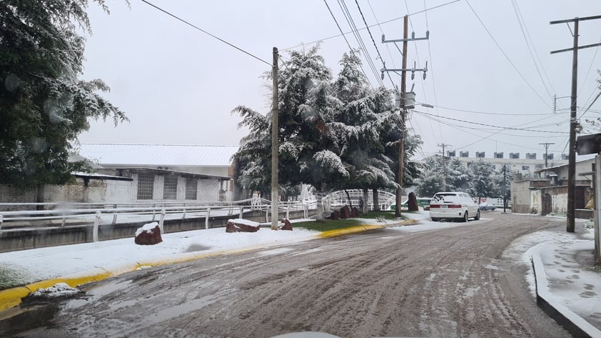 Se registró la caída de nieve en comunidades de nueve municipios de Durango, durante este miércoles, de acuerdo al reporte de la Coordinación Estatal de Protección Civil (CEPC).