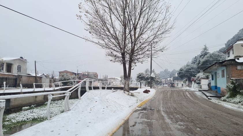 Se registró la caída de nieve en comunidades de nueve municipios de Durango, durante este miércoles, de acuerdo al reporte de la Coordinación Estatal de Protección Civil (CEPC).