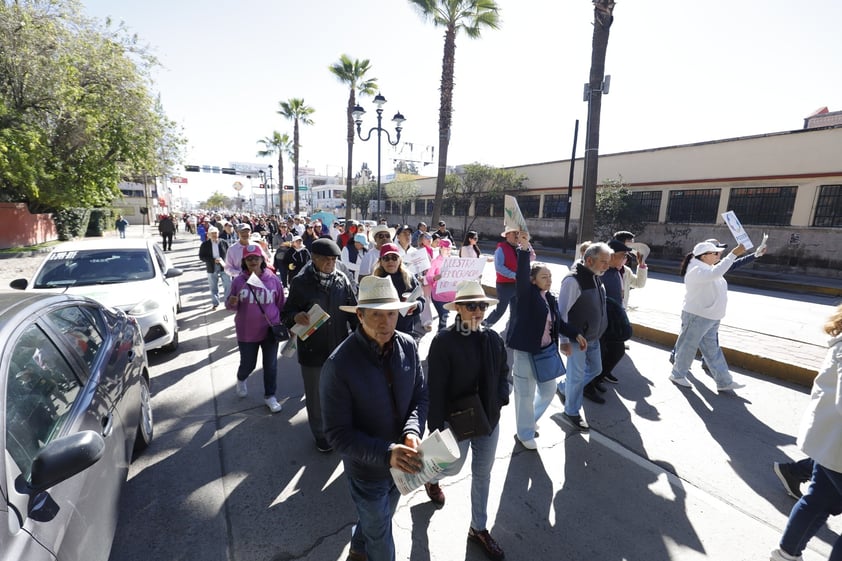 Cientos de personas participaron este domingo en la marcha en defensa de la democracia, convocada desde hace algunos meses por diversas organizaciones.