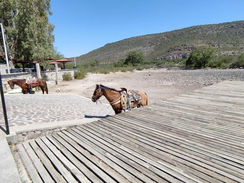 La sequía ha provocado que las presas y ríos del municipio, se encuentren a esta fecha, prácticamente vacíos, tal es el caso del río Tunal, en El Pueblito