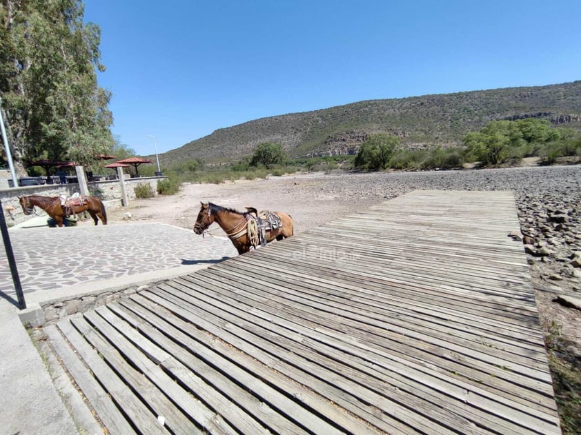 La sequía ha provocado que las presas y ríos del municipio, se encuentren a esta fecha, prácticamente vacíos, tal es el caso del río Tunal, en El Pueblito