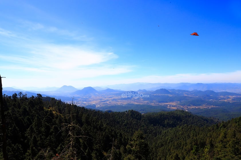 El fin de semana, la Reserva de la Biosfera Mariposa Monarca, ubicada en la sierra de Michoacán, recibió la llegada de miles de mariposas monarcas, un fenómeno que cada año anuncia el inicio de la temporada invernal en México.