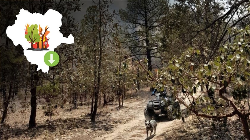 Durango registra 21 incendios forestales menos que en marzo de 2025