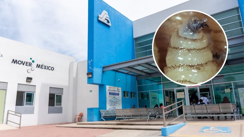 Primer caso de Gusano Barrenador en humano en el estado de Durango