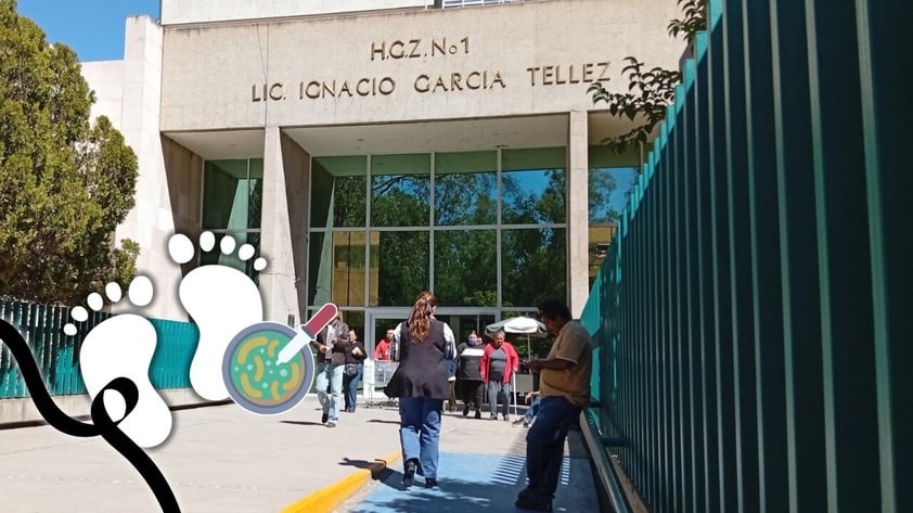 Esta es la bacteria que fue detectada en 4 de los 5 bebés que fallecieron en el IMSS de Durango