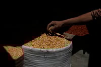 Comercio mundial sufrirá los efectos de la guerra en Ucrania y el confinamiento chino