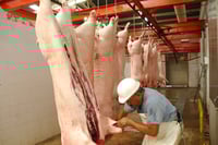 Por contracciones en Asia, comercio porcícola brasileño se redujo 7%