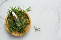 Estimula la producción de colágeno con esta receta de sábila y romero