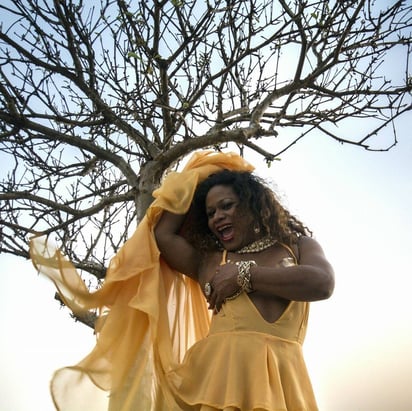 Se incluirá una selección especial de cine hecho por artistas duranguenses. 