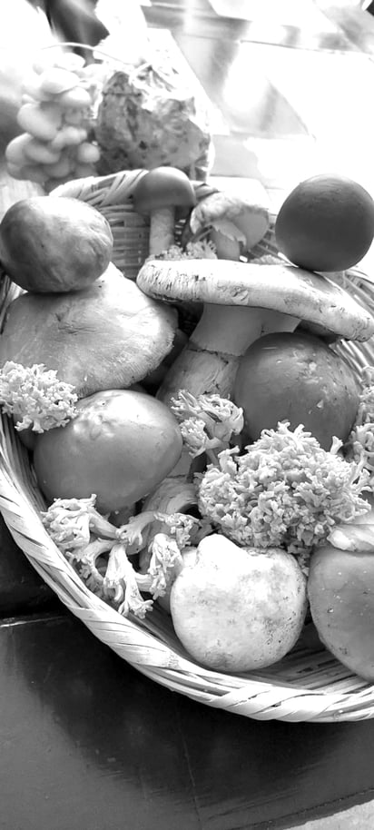 Hongos. En Durango existe una gran variedad de hongos comestibles y cada uno con un sabor diferente, algunos con sabor a mantequilla y todo lo que se prepara con él toma ese sabor.